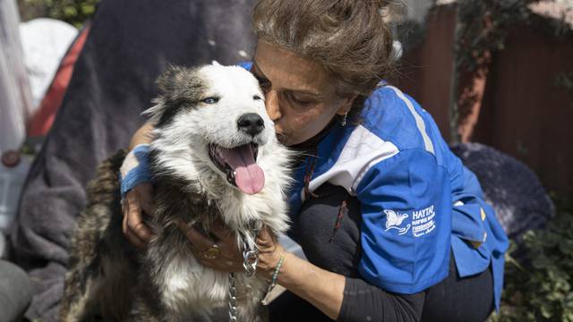 Dog rescued alive from the rubble on the 22nd day of the earthquake in Hatay