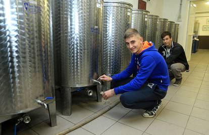 U Iloku je škola za hrvatske vinare, osvojit će cijeli svijet