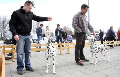 Hrvatski autohtoni psi su na izložbi oduševili Karlovčane