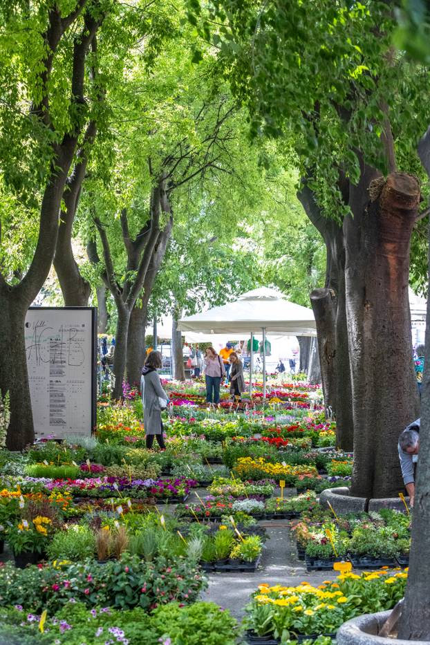 Pula: 17. Florija (sajam cvijca) na Giardinima
