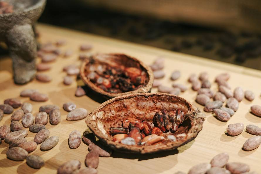 Znanost iza čokolade: Je li ona stvarno zdrava?