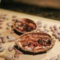 Znanost iza čokolade: Je li ona stvarno zdrava?