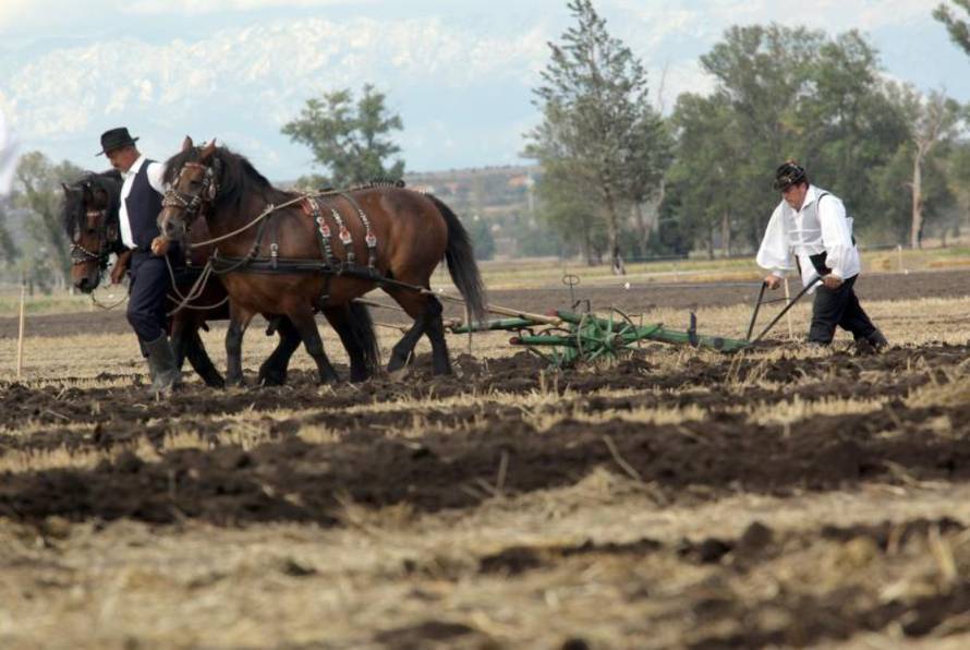 Željko Mršić/Pixsell
