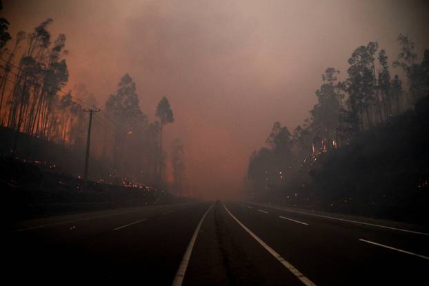 Wildfire burns in Chile