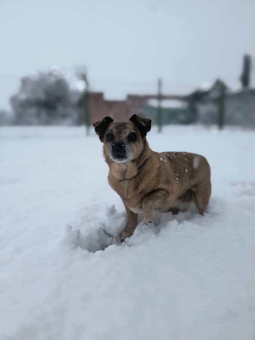 Općinska komunalka sama 'izlopatala' snijeg sa staze: 'Nema nikakve drame u tome'