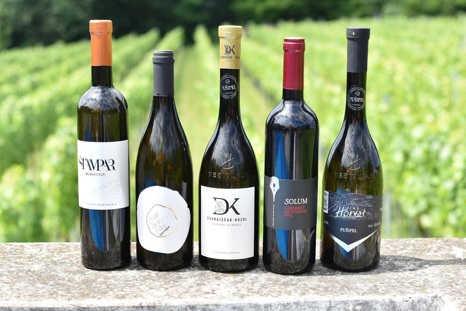 Degustirajte vrhunska vina uz bazen i pogledom na vinograd