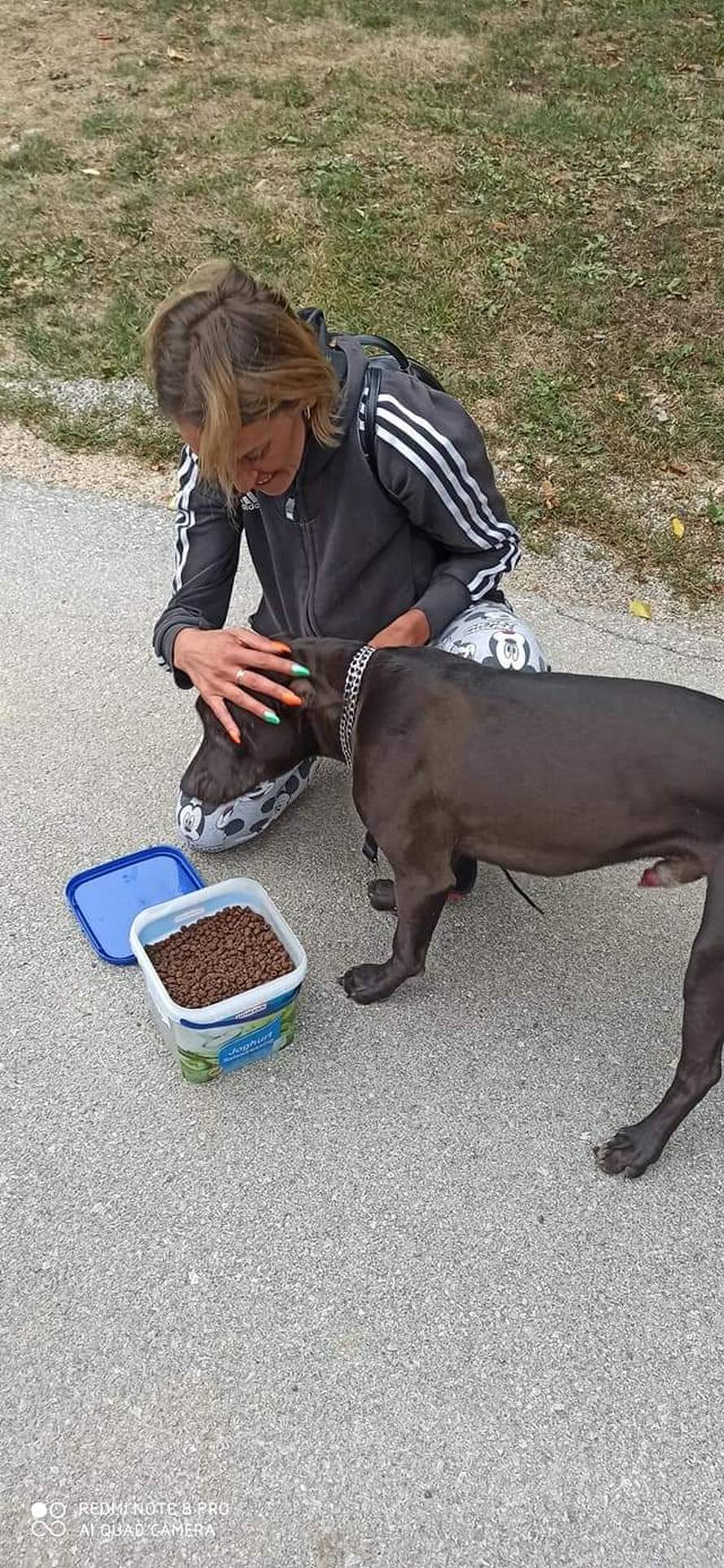 Pronađen Apollo: 'Tražila sam ga po šumi, ležao je sklupčan u grmlju i čekao da dođem'
