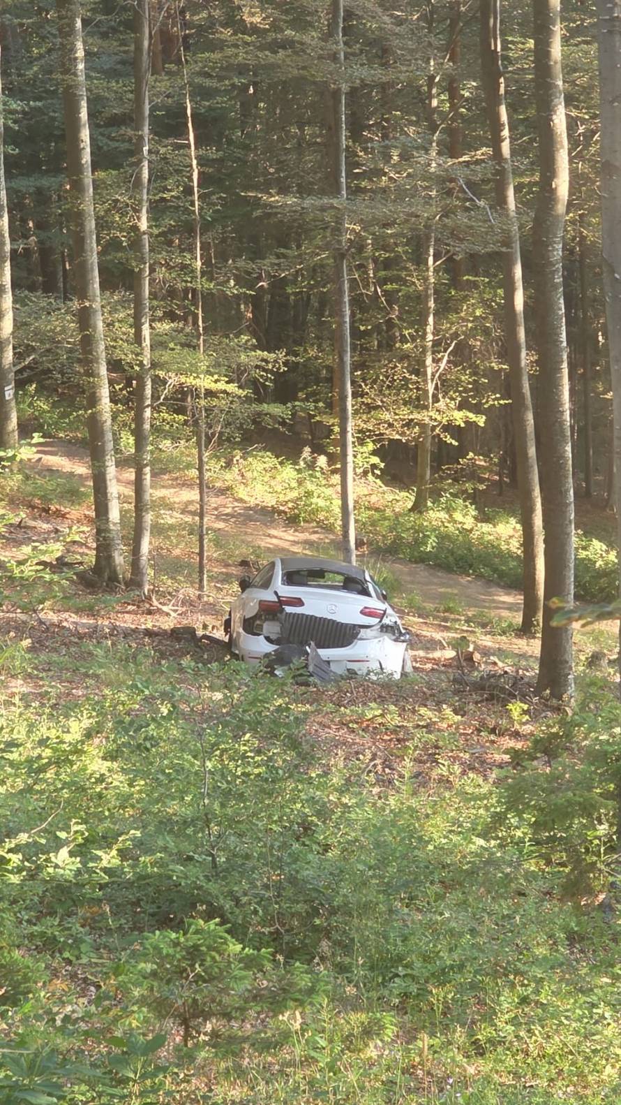 FOTO Misterij na Sljemenu: Slupao Mercedes od 70.000 €, skinuo tablice i ostavio auto?!
