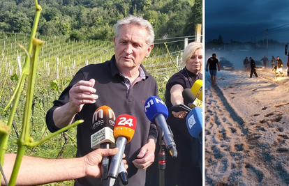 Vinogradar iz Klanjca: Šteta je 100 posto. Ovo je kataklizma i osiguranje to ne može pokriti