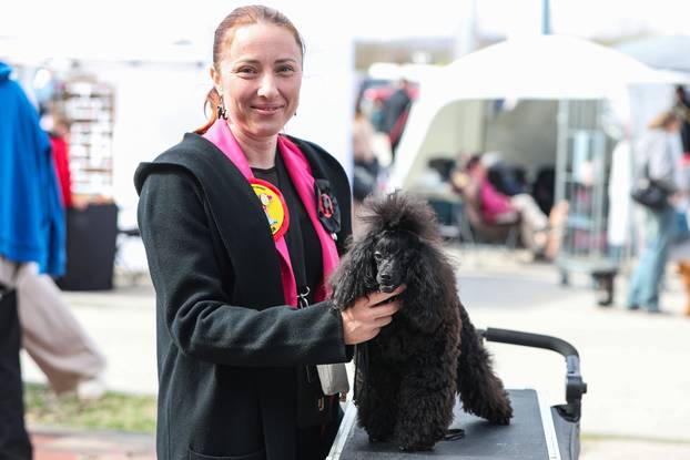 Zaprešić: Ispred Wesgatea održana međunarodna izložba pasa