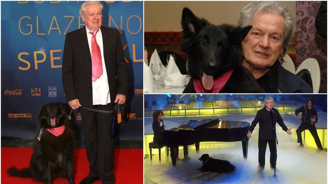 Ibricu napustio pas Bond: Prva noć bez njega nakon 11 godina