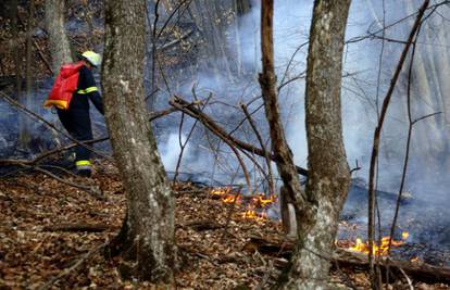Požar se širi Papukom: Gori nekoliko stotina hektara šume