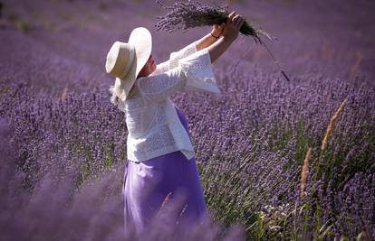 Mirisna i moćna lavanda: Tjera komarce, ublažava bol i štiti vas