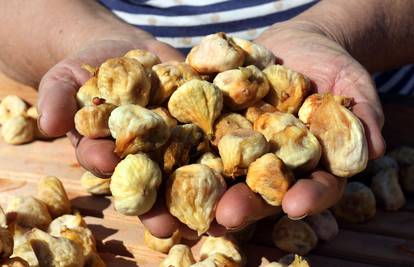 Sušenje smokava na tradicionalan način u Grebaštici