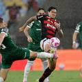 Palmeiras velikim preokretom izborio finale Cope Libertadores