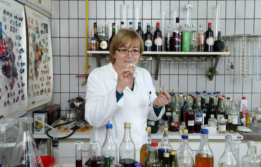 Njihov posao je da piju alkohol: 'Samo jednom sam se  napila...'