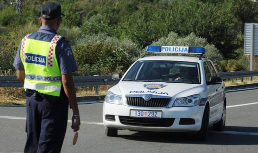 Poreč: Potukli se psi, jednoga je muškarac izudarao mačetom