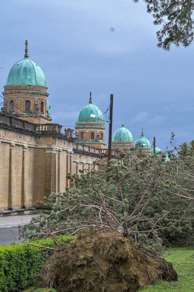 Zagreb: U nevremenu teško  oštećeno gradsko groblje Mirogoj