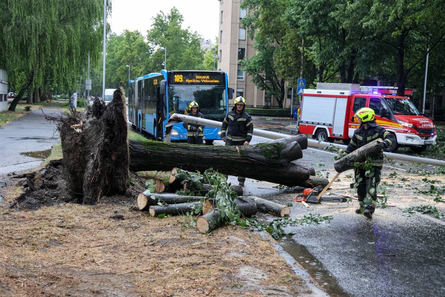 Zagreb: Vatrogasci uklanjaju stablo koje je palo u Ulici Svetog Mateja