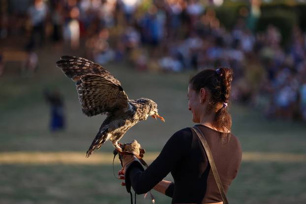 Počeo 14. Srednjovjekovni festival u Svetvincentu