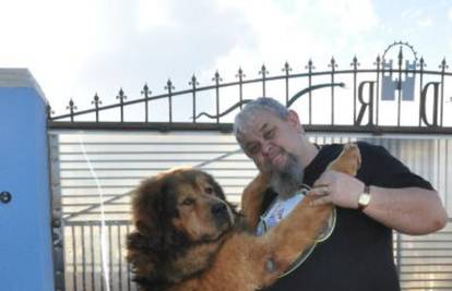 Vau! Vau! Tibetanski mastif je najskuplji pas u Hrvatskoj 