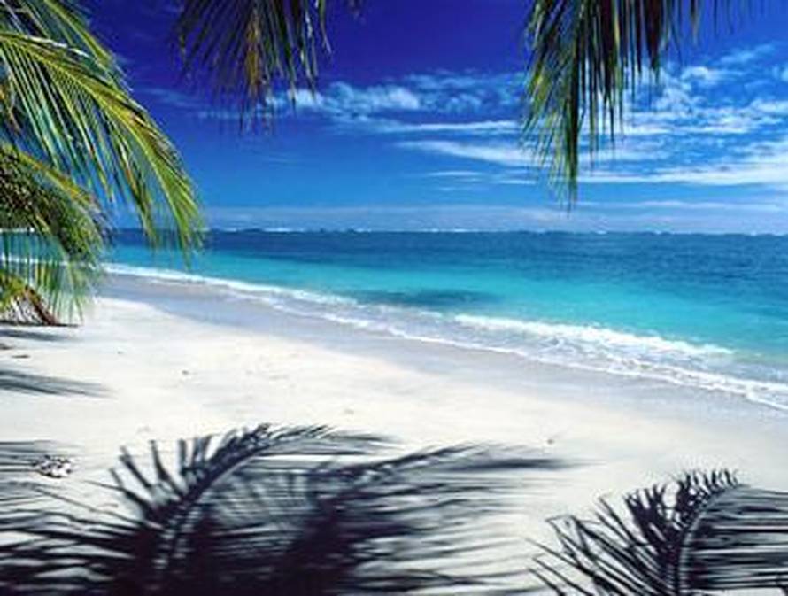 Smart Womens Coaching