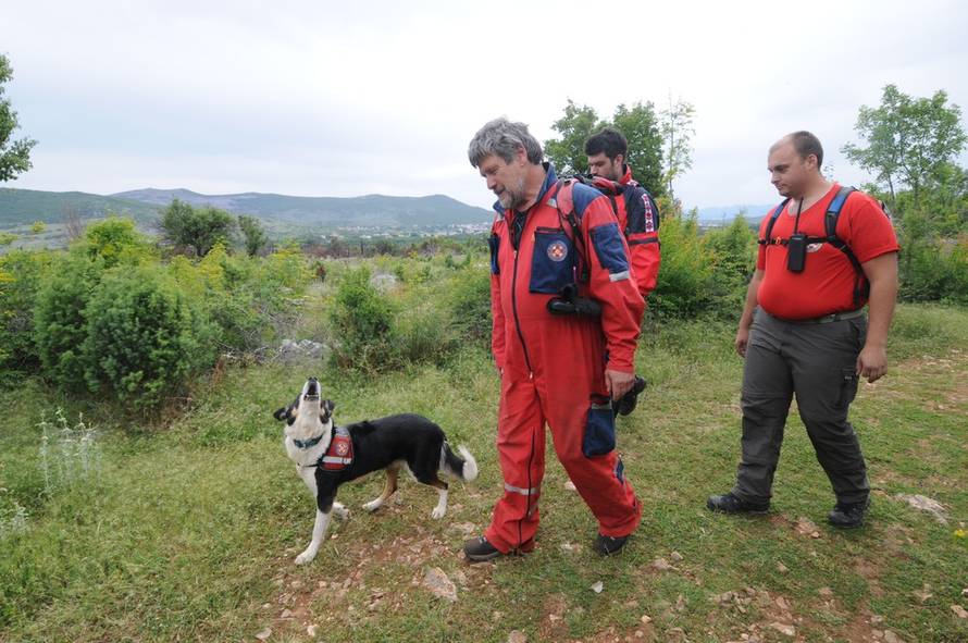 Zoran Grizelj/PIXSELL