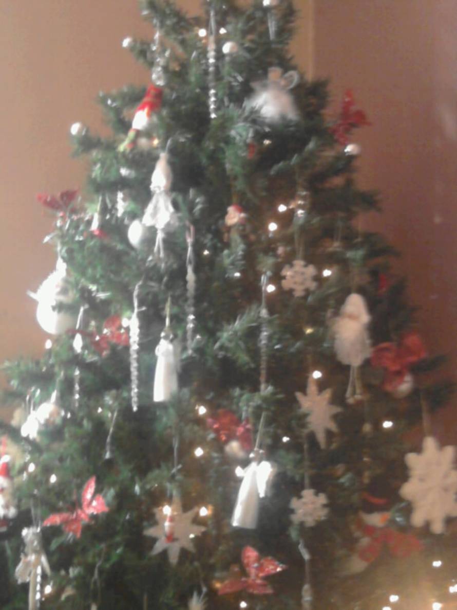 Šaljite fotografije božićnih jelki i osvojite vrijednu nagradu...