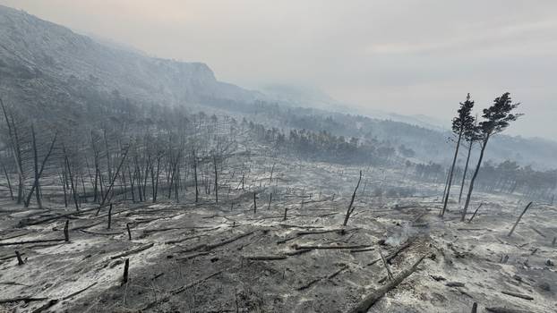 Makarska: Opožareno područje Parka prirode Biokovo
