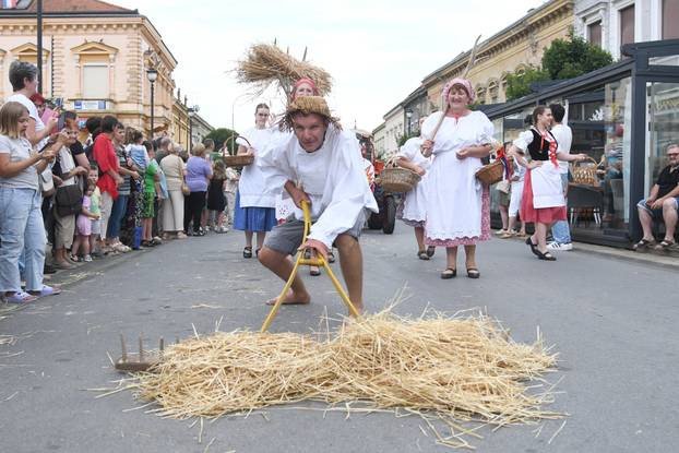 Daruvar: Obilježen je Dožinky, najveća kulturna manifestacija češke manjine u Hrvatskoj