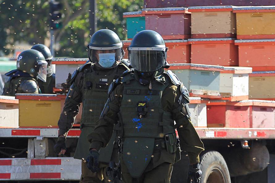Beekeepers take part in a protest with honeycombs full of bees in front of the Chilean presidential palace in Santiago