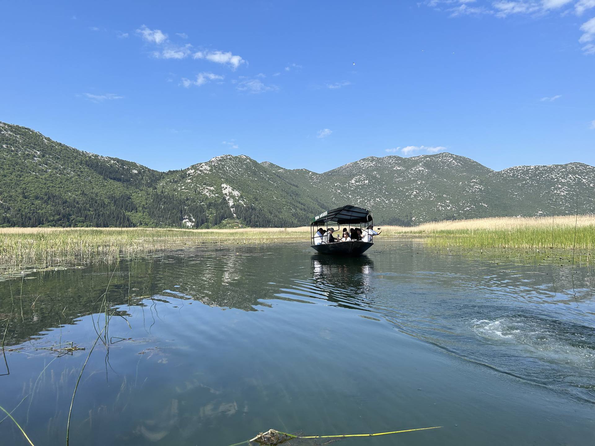 'Neretva je raj za ljubitelje ptica, zašto ne iskoristite taj ogroman turistički potencijal?'