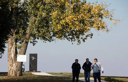 FHP od institucija Srbije zatražio  odlučnu potragu za nestalima i poštivanje žrtava Ovčare