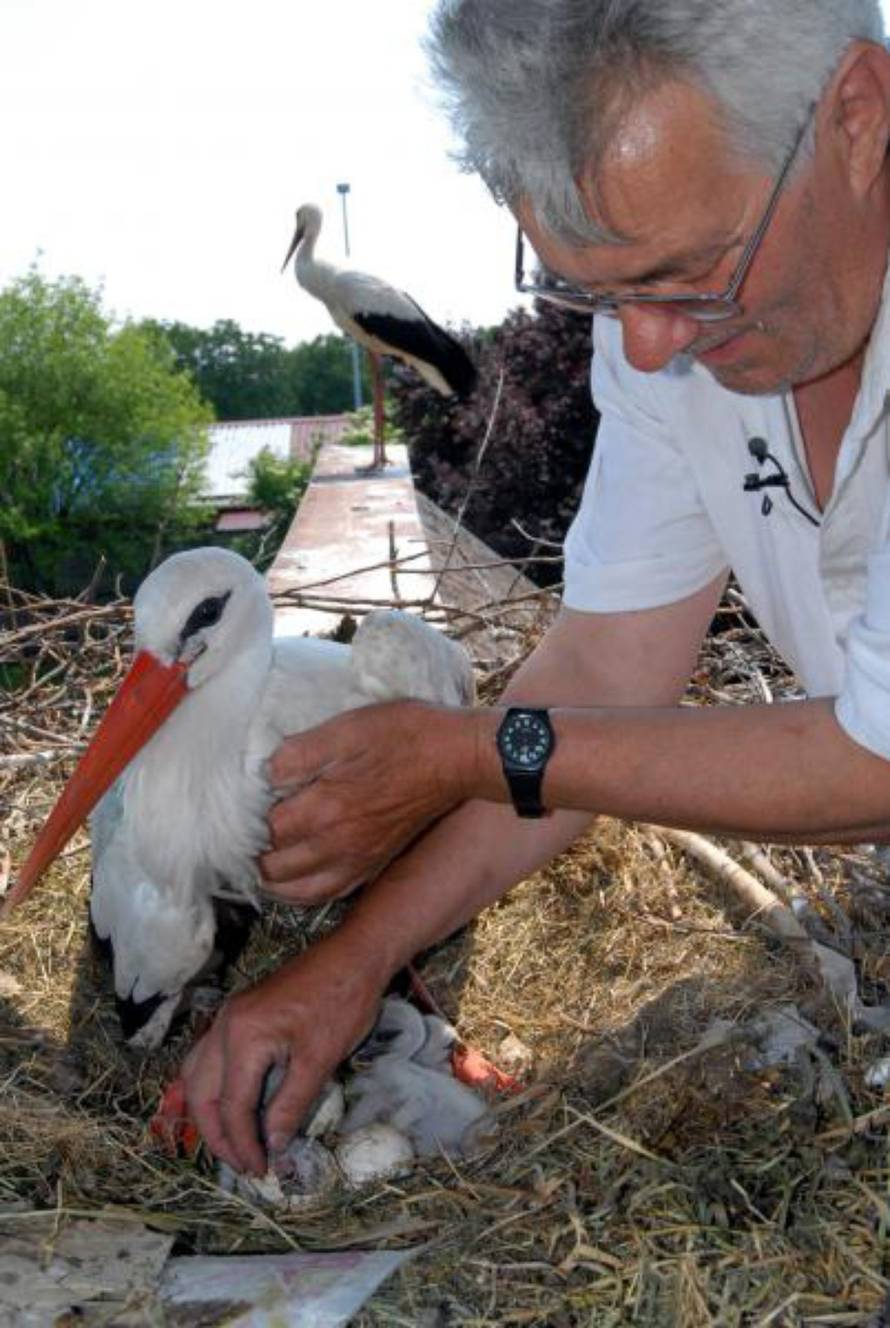 Ivica Galović/PIXSELL