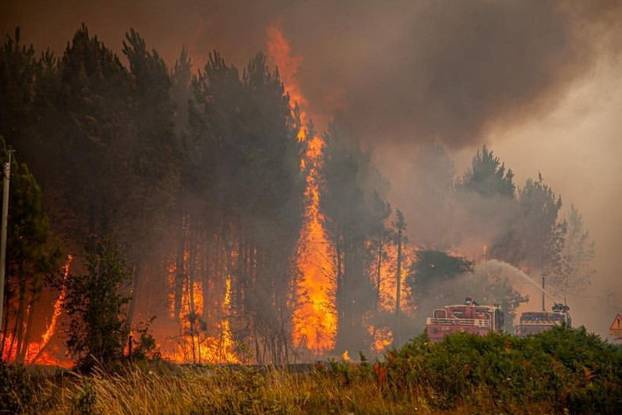 A view of trees burning amid a wildfire near Landiras