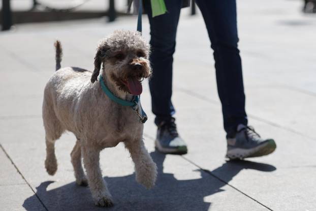 Sunčano subotnje prijepodne u Zagrebu