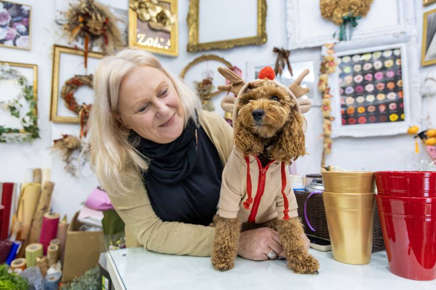 24sata: Pula: Pas pozira ispred cvjećarnice i glumi soba