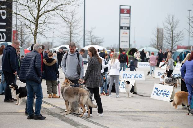 U Zaprešiću održana CAC nacionalna izložba pasa