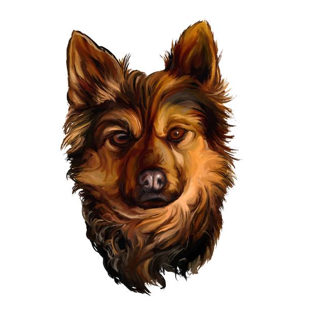 dog vector illustration  painted watercolor 