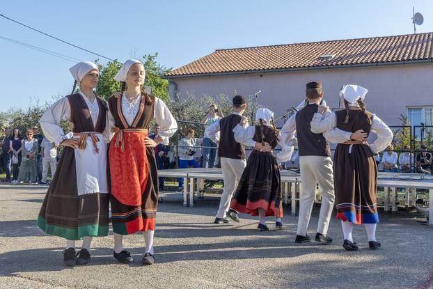 Pula: Održana je tradicionalna 55. Trka na tovari