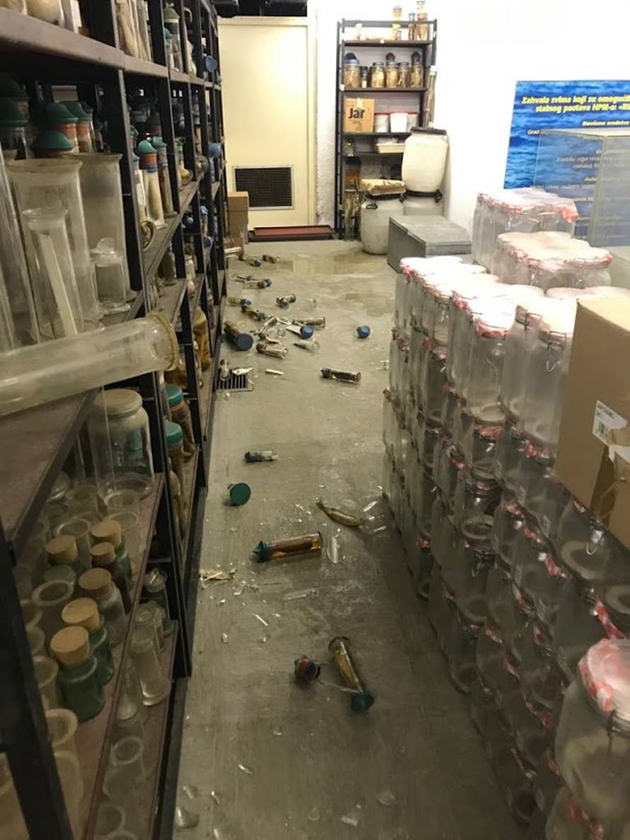 Hrvatski prirodoslovni muzej teško je stradao u potresu