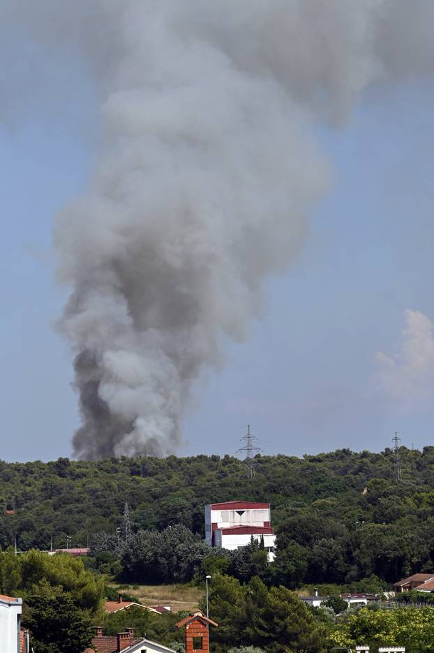 Veliki požar pored Pule zahvatio šumu, vatrogasci su na terenu