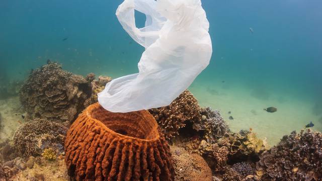 Stručnjaci u strahu: U moru će biti više plastike nego riba...