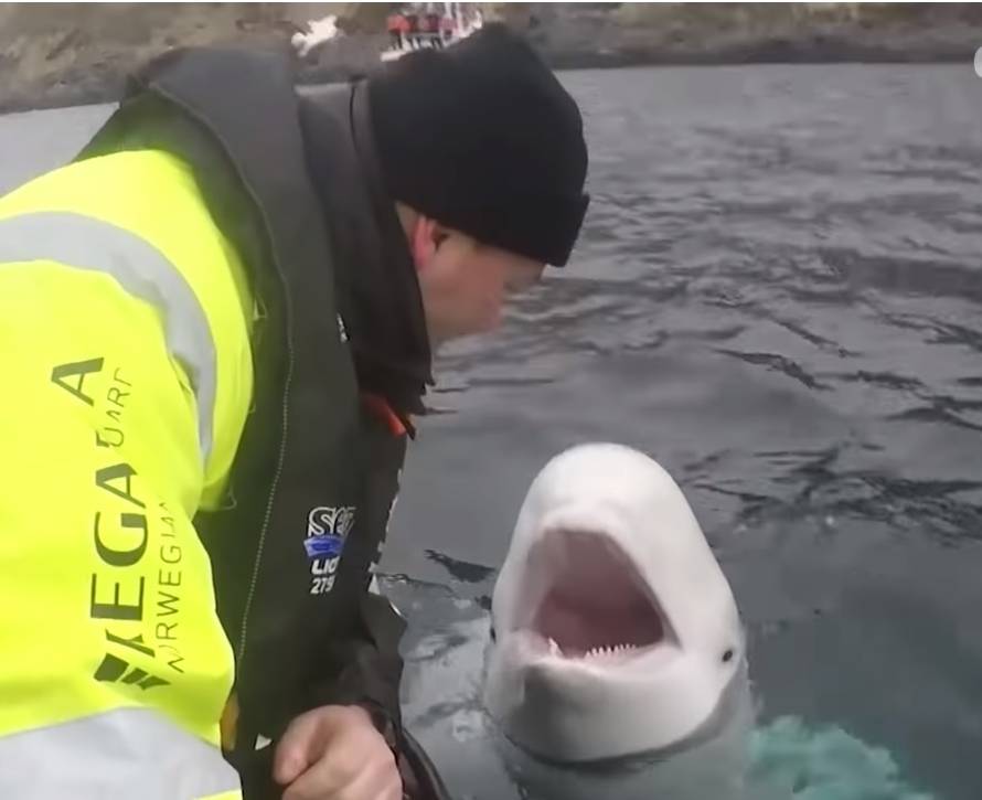 Spašavanje vojnika Willya: Ovo je ruski špijun, tvrde Norvežani