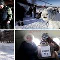 VIDEO Stočari u dalekom Sibiru već su glasovali na ruskim izborima: S njima bili i sobovi...