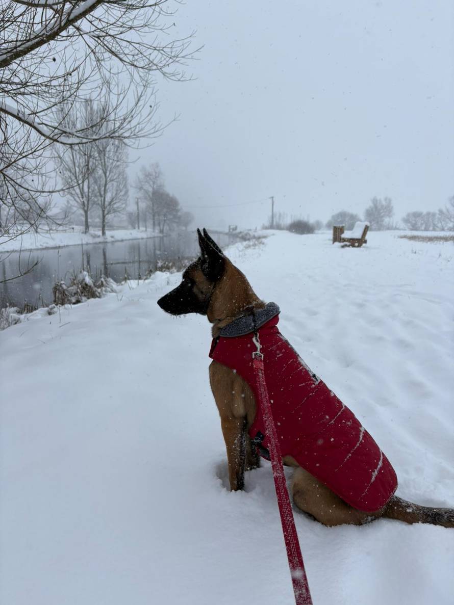 Općinska komunalka sama 'izlopatala' snijeg sa staze: 'Nema nikakve drame u tome'