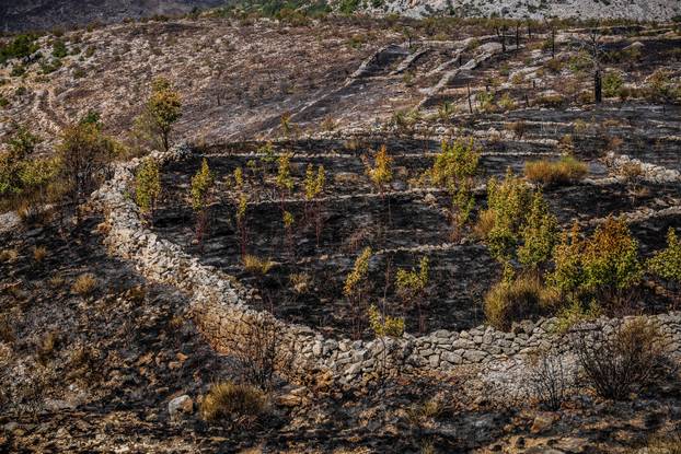 Žrnovnica: Zgarišta po obroncima Mosora