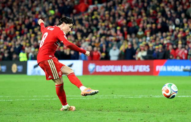 FIFA World Cup - UEFA Qualifiers - Semi Final - Wales v Bosnia and Herzegovina