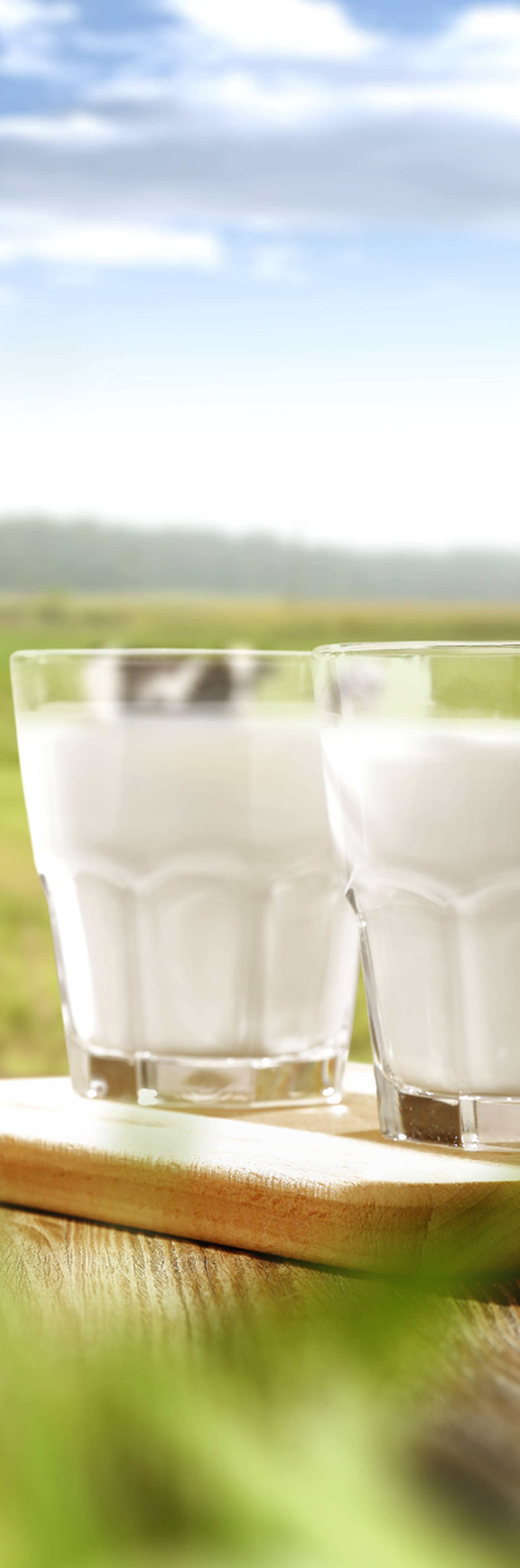 Hrvatsko mlijeko neka svaki dan bude na našim jelovnicima...