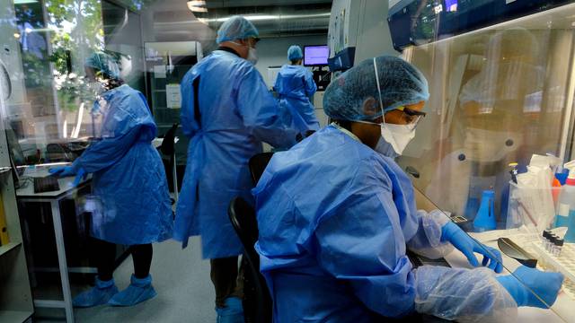 FILE PHOTO: Researchers studying the BCG vaccine for tuberculosis test samples in a laboratory run by South African biotech company TASK in Cape Town, South Africa, May 11, 2020. Picture taken May 11, 2020. REUTERS/Mike Hutchings/